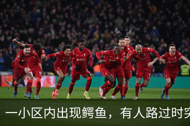 一小区内出现鳄鱼，有人路过时突然弹起并张嘴，当地消防人员：体长约1米，已现场处理
